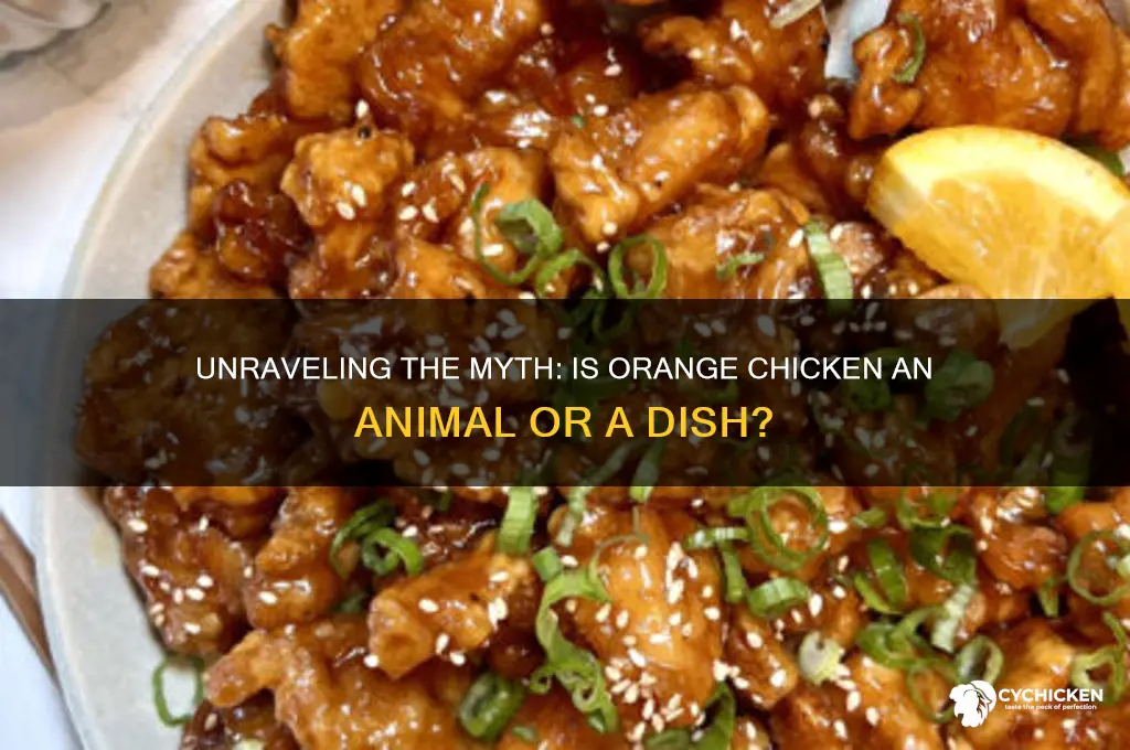 what kind of animal is orange chicken