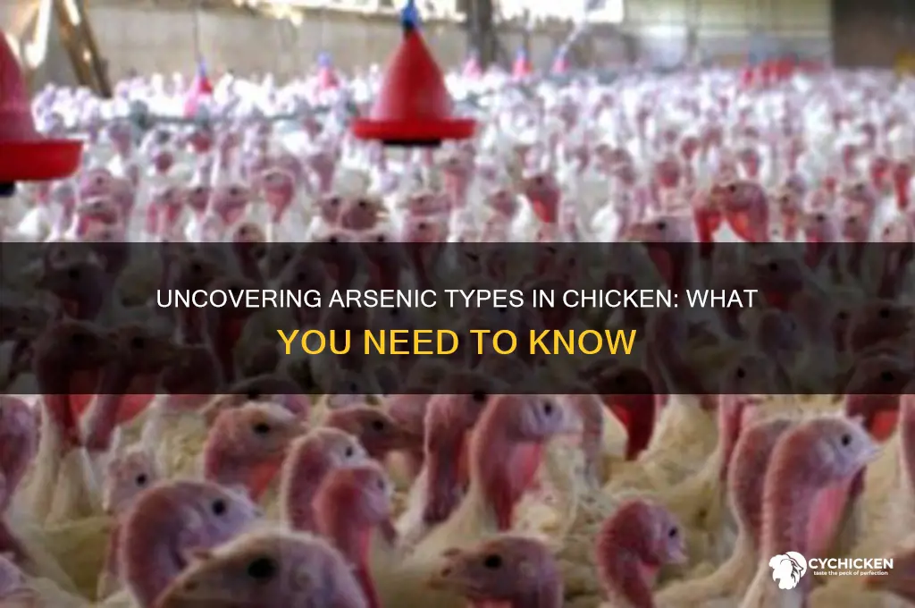 what kind of arsenic is inn chicken