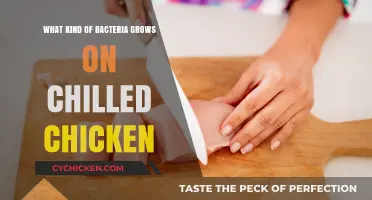 Chilled Chicken Bacteria: Uncovering the Hidden Microbial Risks in Poultry