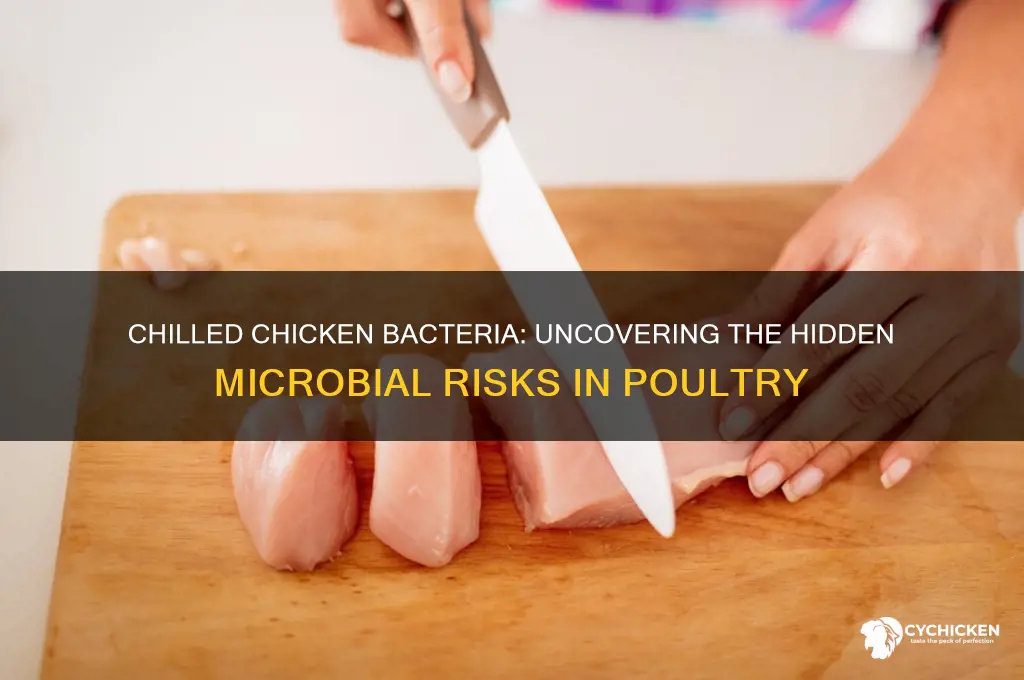 what kind of bacteria grows on chilled chicken