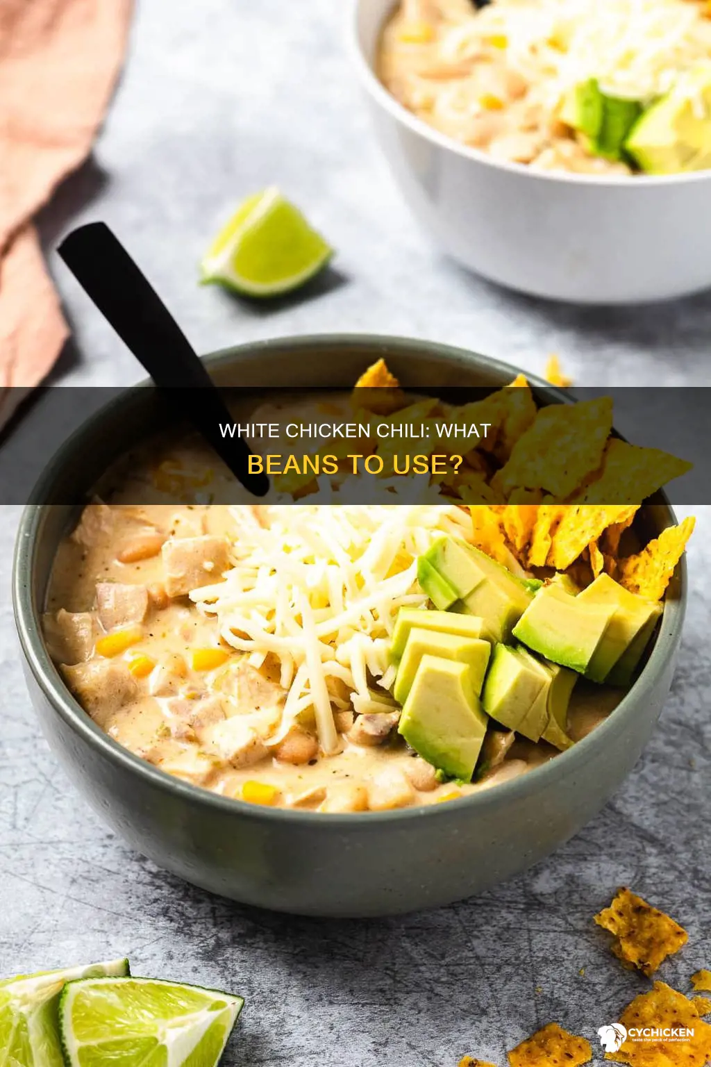 what kind of beans are in white chicken chili