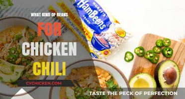 Best Beans for Chicken Chili: Top Picks and Flavorful Combinations