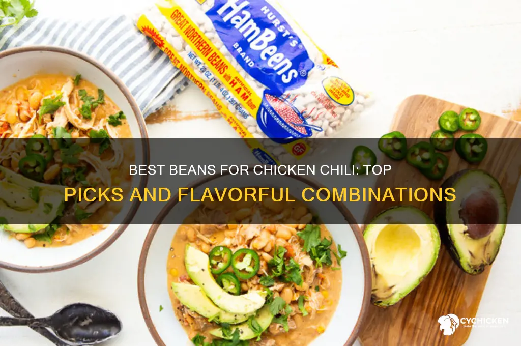 what kind of beans for chicken chili