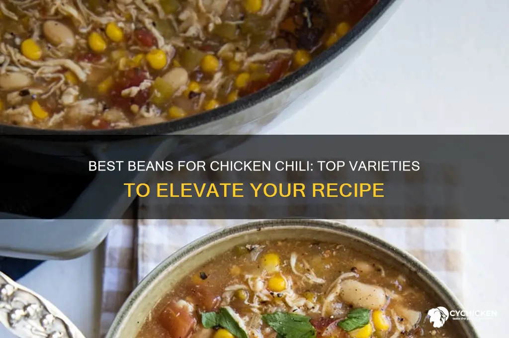 what kind of beans go in chicken chili