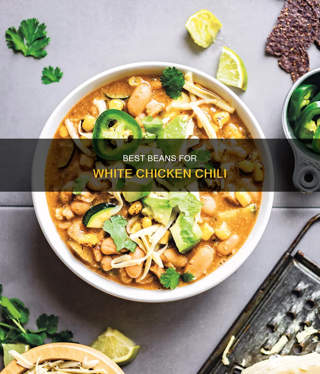what kind of beans go in white chicken chili