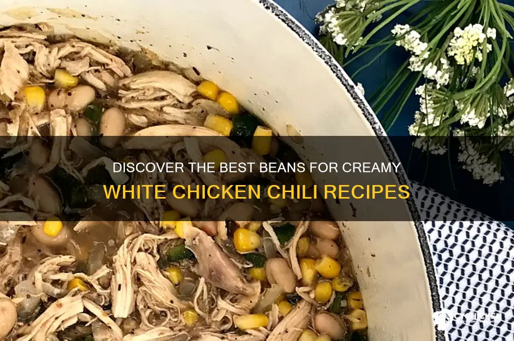 what kind of beans in white chicken chili