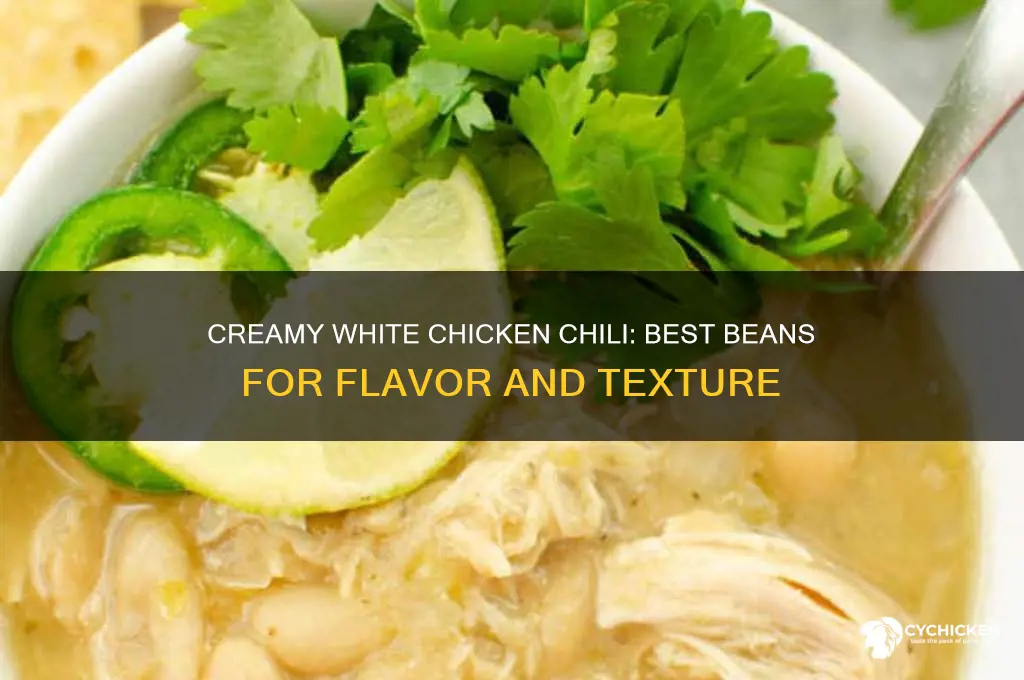 what kind of beans white chicken chili