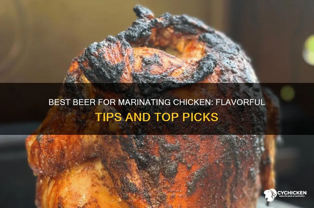 what kind of beer to marinate chicken