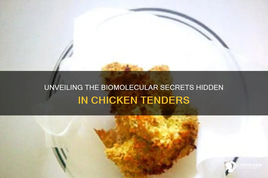 what kind of biomolecule is in chicken tenders
