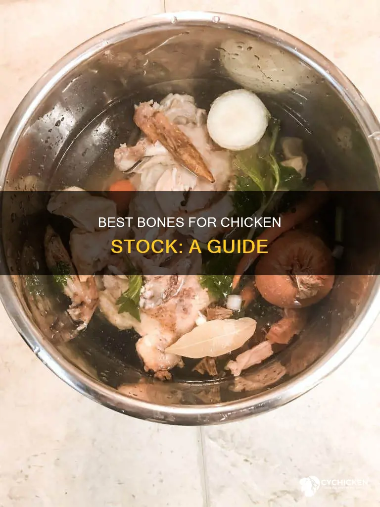 what kind of bones do i need for chicken stock