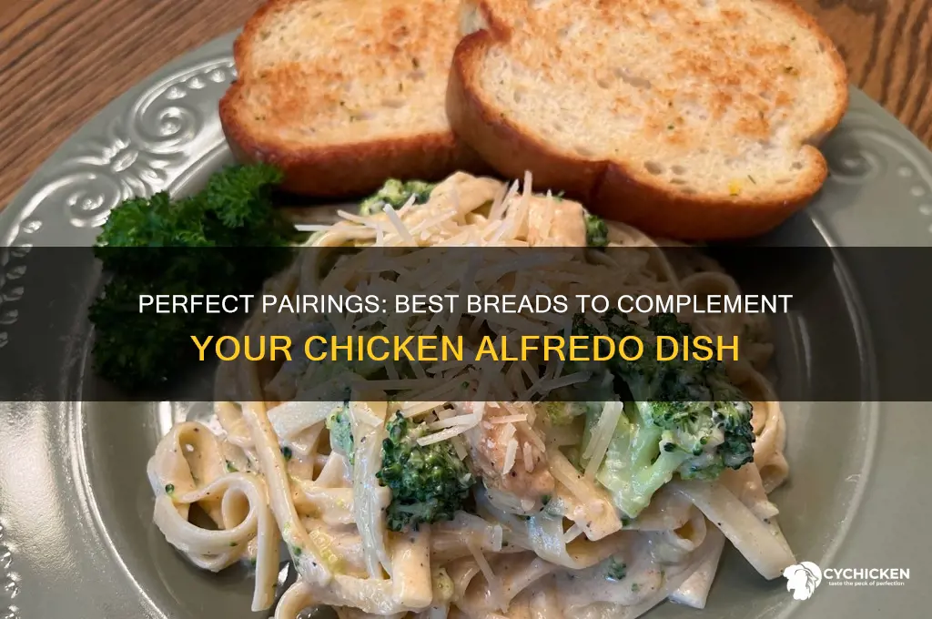 what kind of bread goes with chicken alfredo