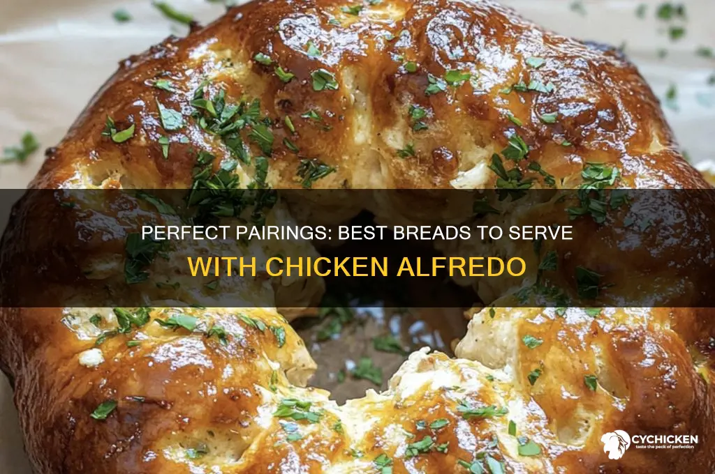 what kind of bread with chicken alfredo