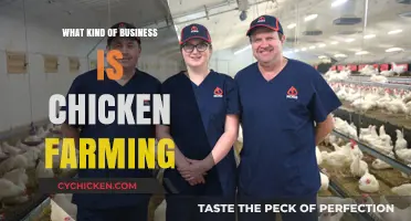 Exploring the Profitable World of Chicken Farming: A Business Guide