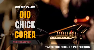 Chick Corea's Cancer Battle: Understanding His Rare Diagnosis and Legacy