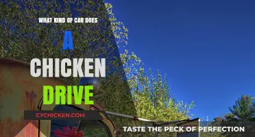 Cluck and Roll: The Hilarious Car Choice of a Chicken