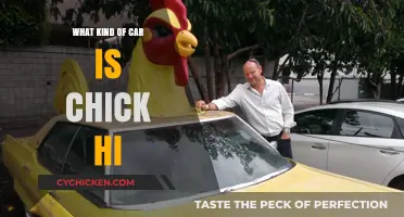 Exploring the Unique Features of the Chick Hi Car Model