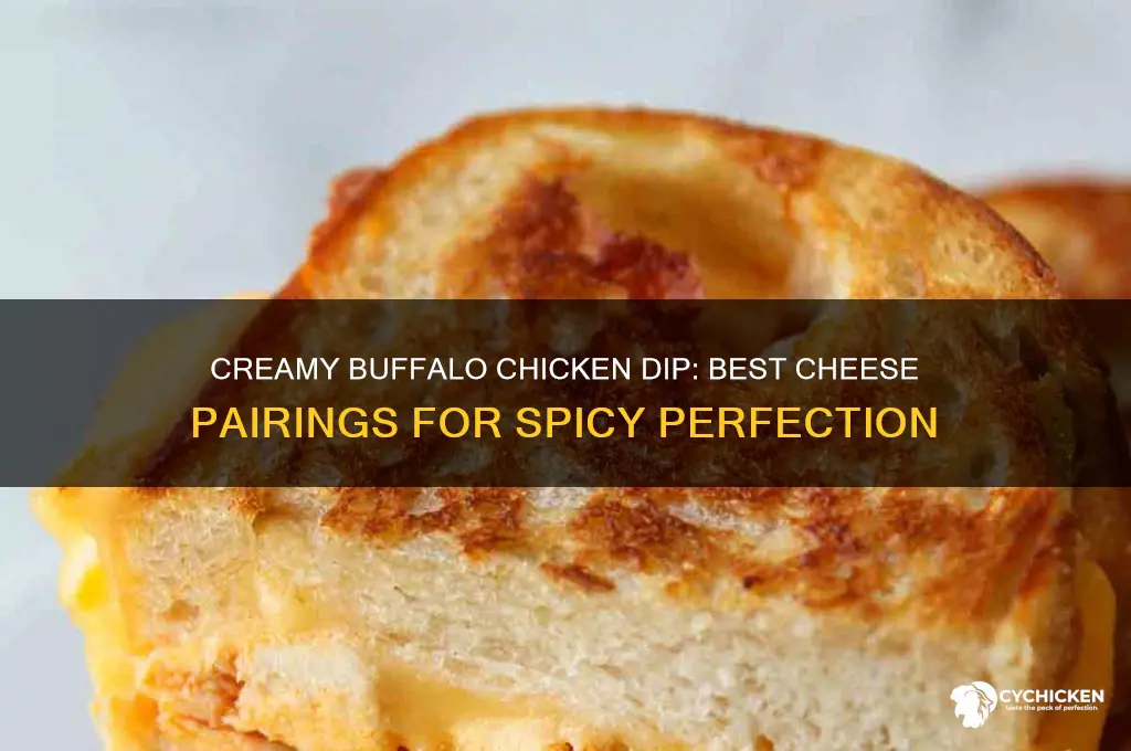 what kind of cheese buffalo chicken dip