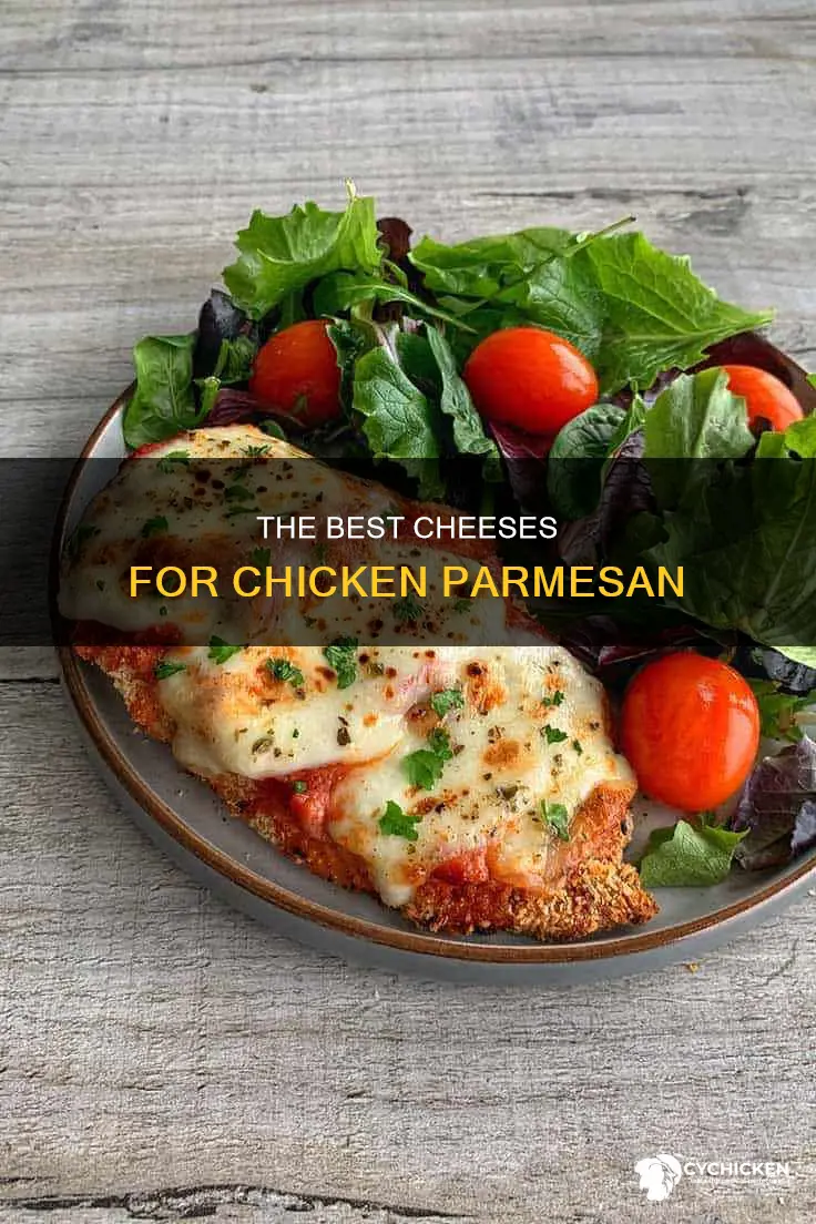 what kind of cheese do you put on chicken parm