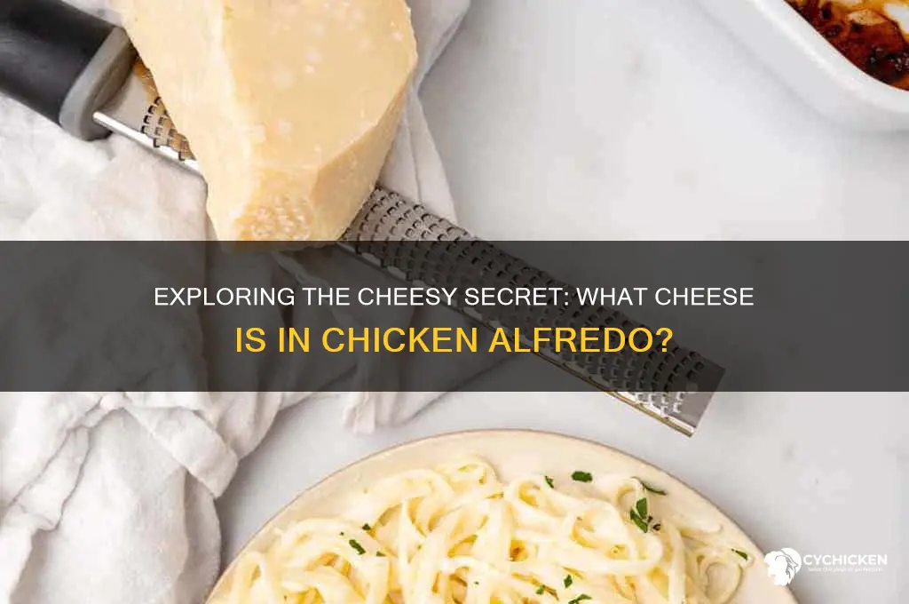 what kind of cheese does chicken alfredo have