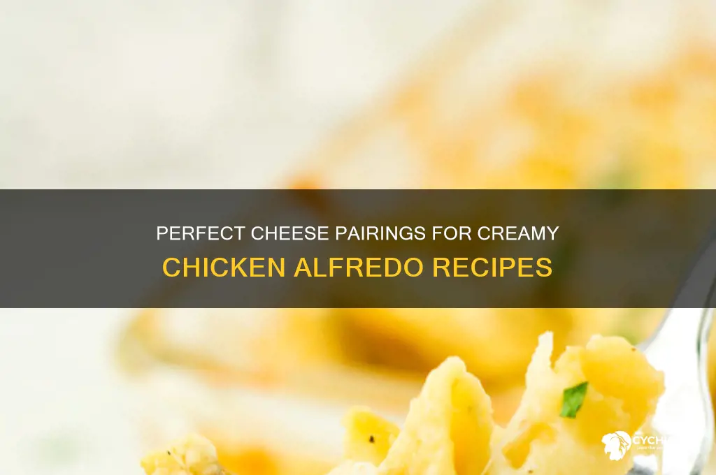 what kind of cheese for chicken alfredo