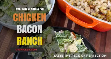 Perfect Cheese Pairings for Chicken Bacon Ranch Recipes: Top Picks