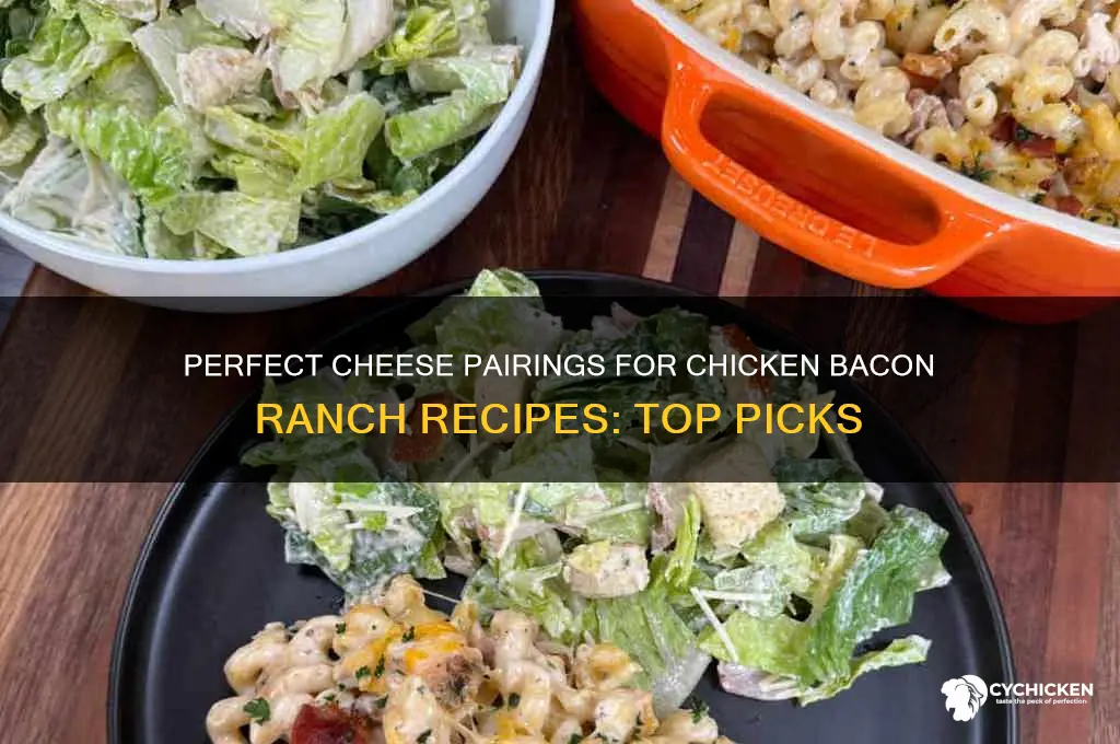 what kind of cheese for chicken bacon ranch