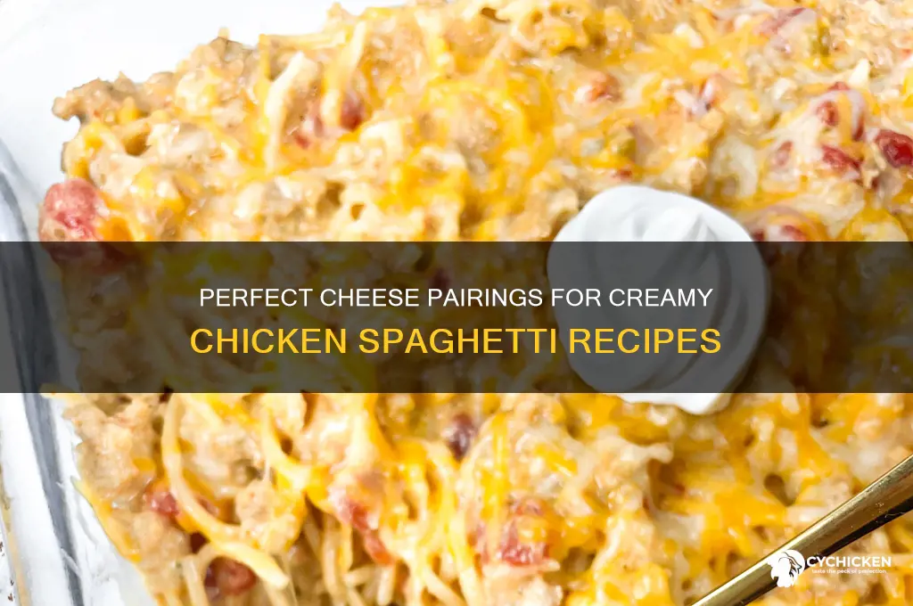 what kind of cheese for chicken spaghetti