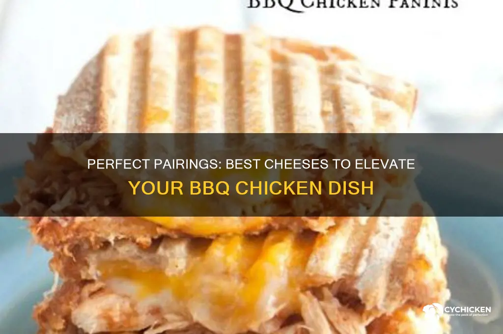 what kind of cheese goes with bbq chicken