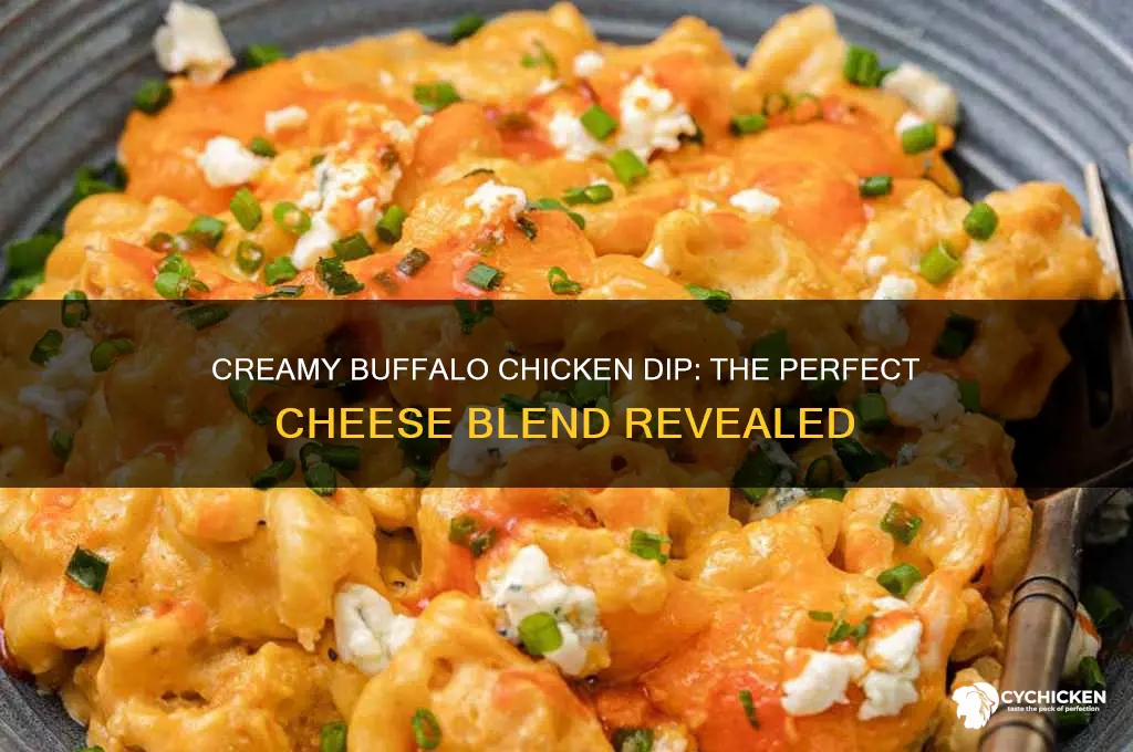 what kind of cheese in buffalo chicken dip