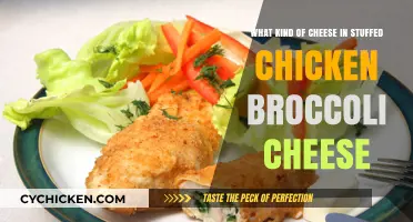 Best Cheeses for Stuffed Chicken: A Mouthwatering Combination