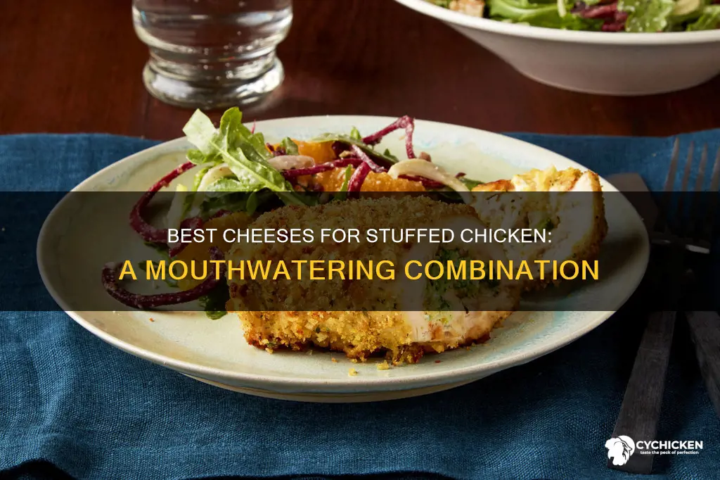 what kind of cheese in stuffed chicken broccoli cheese