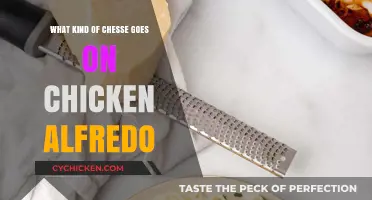 Perfect Cheese Pairings for Creamy Chicken Alfredo Recipes