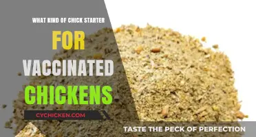 Best Chick Starter Feed Options for Vaccinated Chickens: A Guide