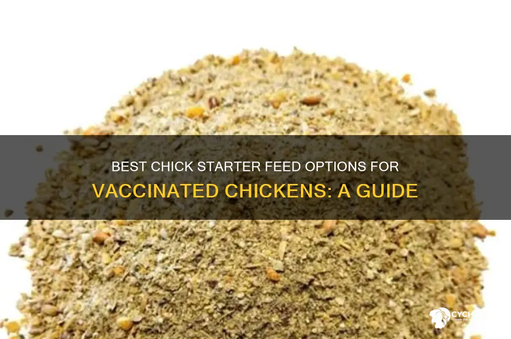 what kind of chick starter for vaccinated chickens