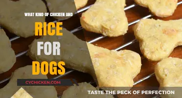 Healthy Chicken and Rice Recipes for Dogs: A Nutritional Guide