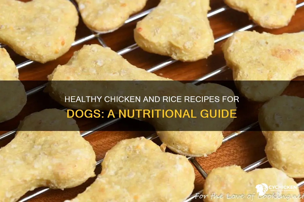 what kind of chicken and rice for dogs