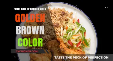 Golden-Brown Chickens: What Breeds Make the Cut?