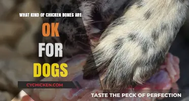 Chicken Bones for Dogs: Safe or Not?