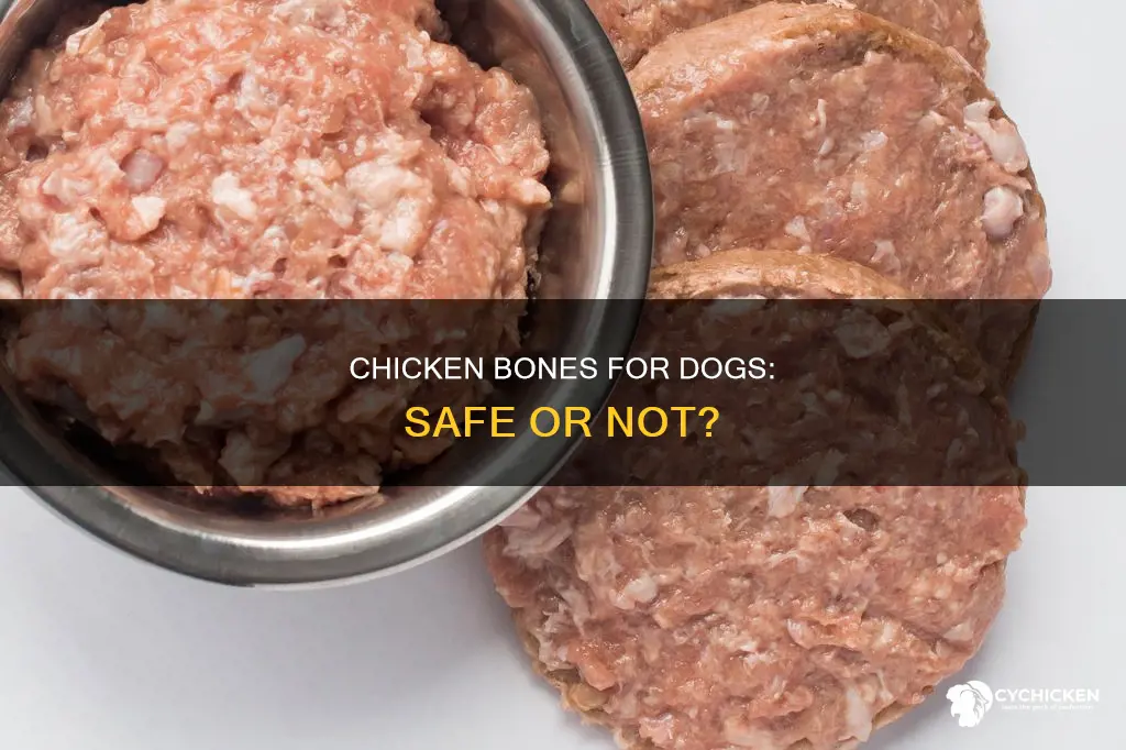 what kind of chicken bones are ok for dogs
