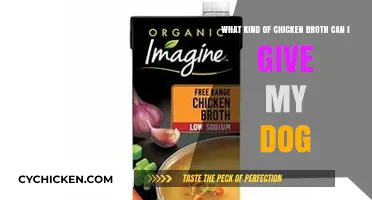 Safe and Nutritious Chicken Broth Options for Your Canine Companion