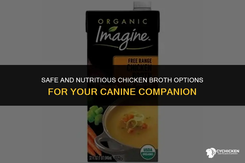 what kind of chicken broth can i give my dog
