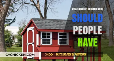 Choosing the Perfect Chicken Coop: A Guide for Happy Hens