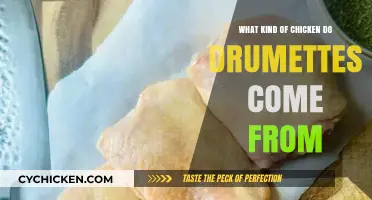 Drumettes Unveiled: Discovering the Chicken Breed Behind This Tasty Treat