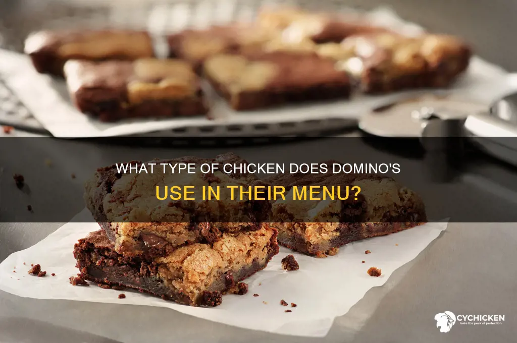 what kind of chicken does dominos sell