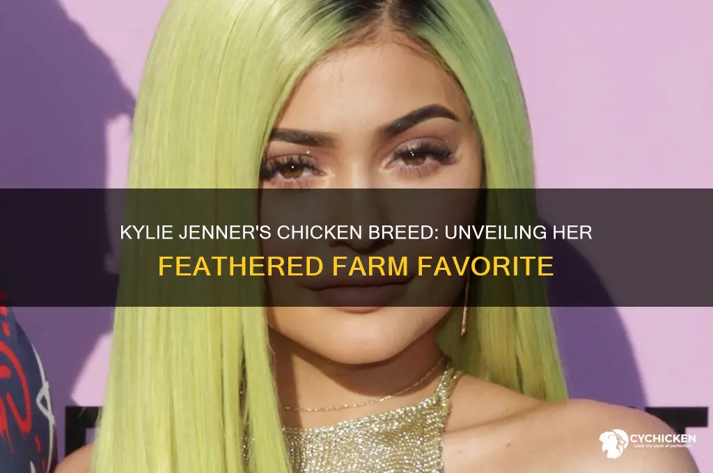 what kind of chicken does kylie jenner have