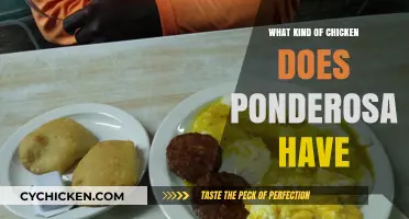 Ponderosa's Chicken Menu: Types, Flavors, and Popular Choices Explained