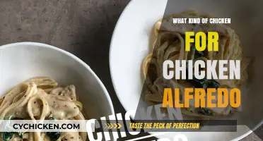 Best Chicken Types for Creamy Chicken Alfredo Perfection
