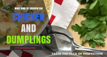 Best Chicken Varieties for Perfect Chicken and Dumplings: A Guide