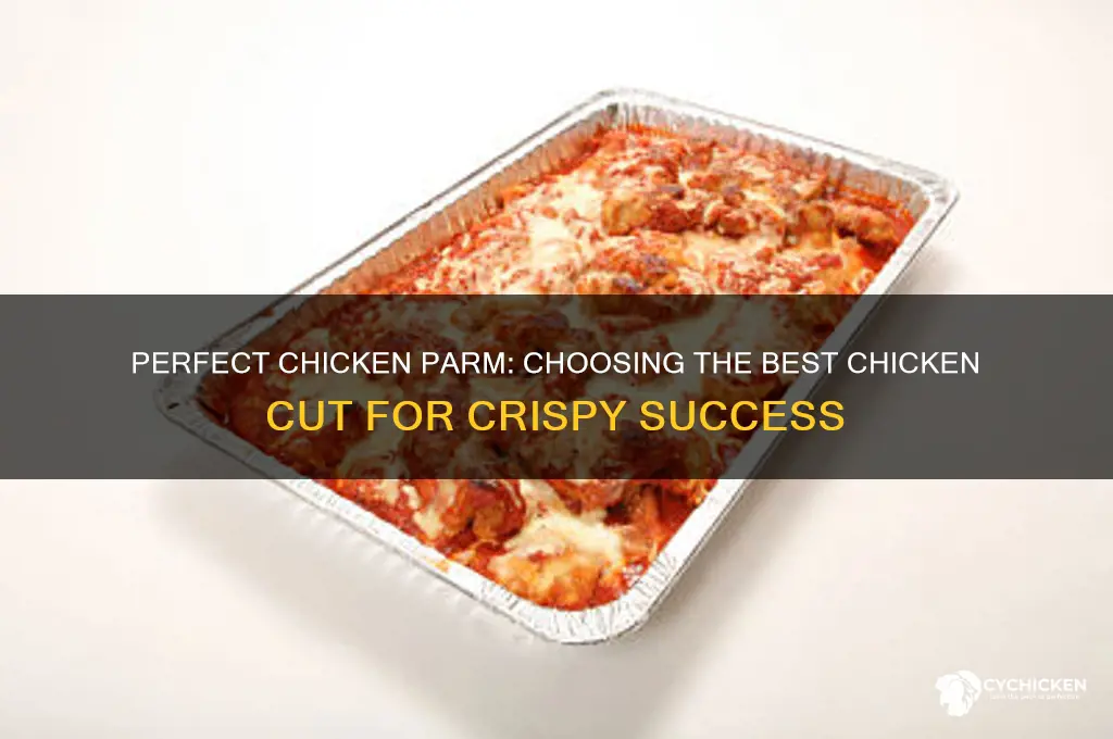 what kind of chicken for chicken parm