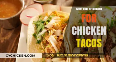 Best Chicken Types for Juicy, Flavorful Chicken Tacos Every Time